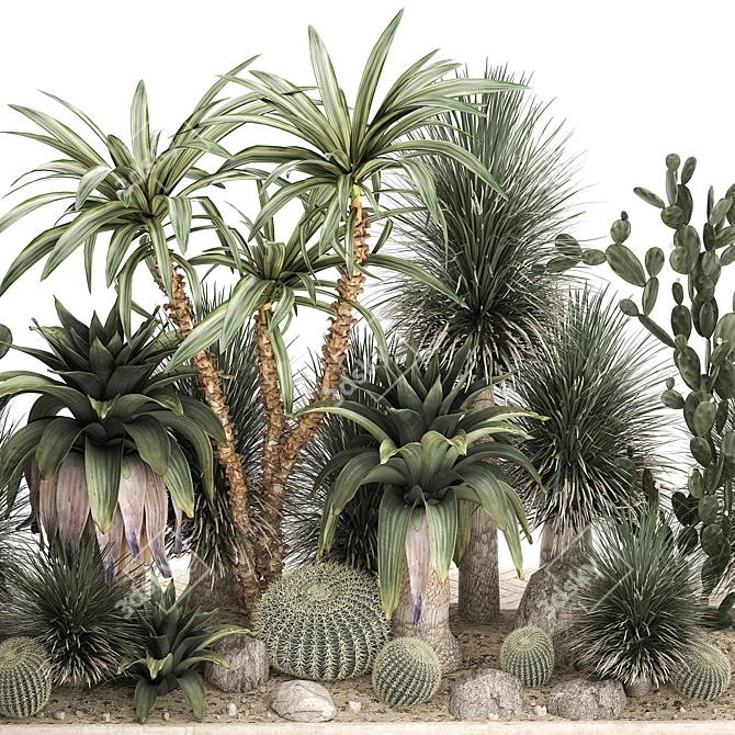 Tropical Desert Plants Collection 3D model image 3