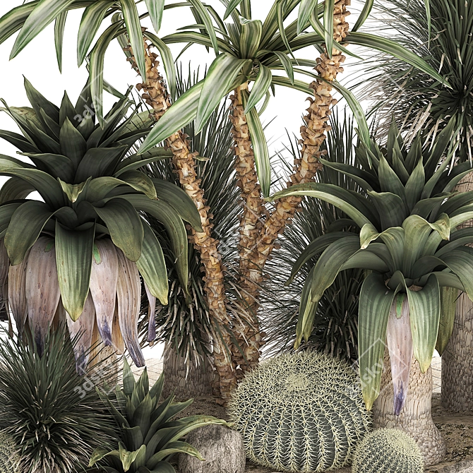 Tropical Desert Plants Collection 3D model image 4