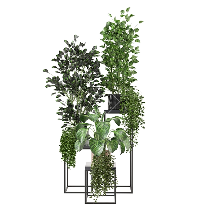 Sleek Indoor Plant Set 3D model image 6