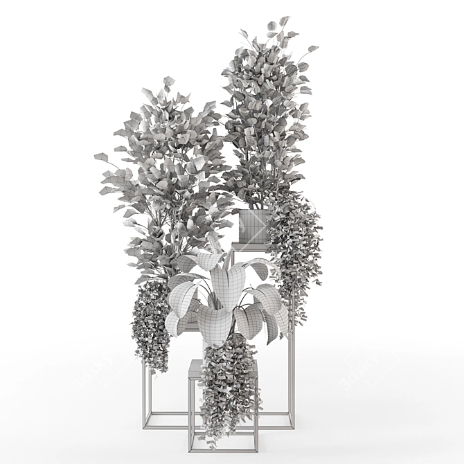 Sleek Indoor Plant Set 3D model image 7