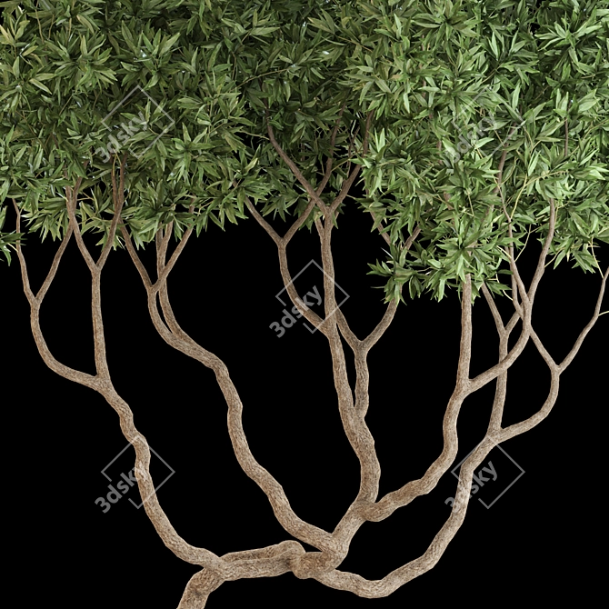 Botanical Bliss: 639 Green Wonders 3D model image 3