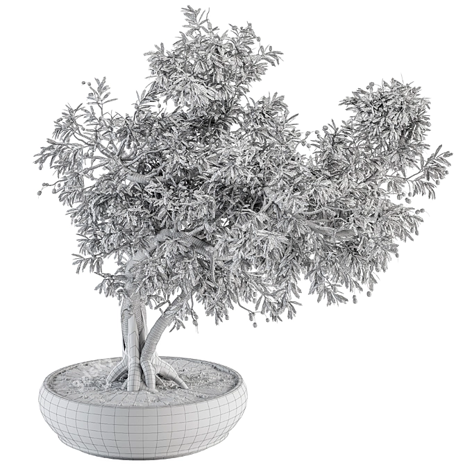 Zen Bonsai: Indoor Plant Set 3D model image 4