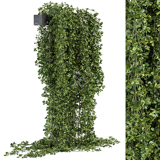  Hanging Garden Delights - Set 372 3D model image 1