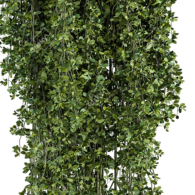  Hanging Garden Delights - Set 372 3D model image 3