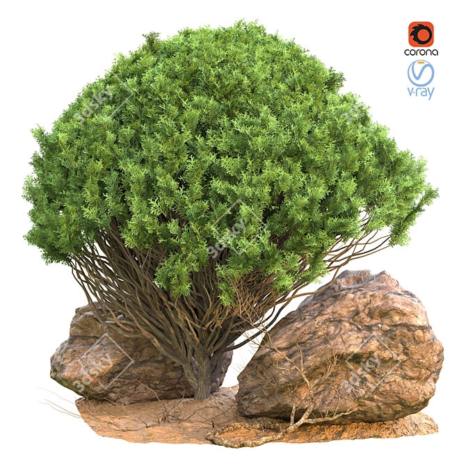 Elevate your Outdoor Space with Outdoor_Plant_Vol_44! 3D model image 1