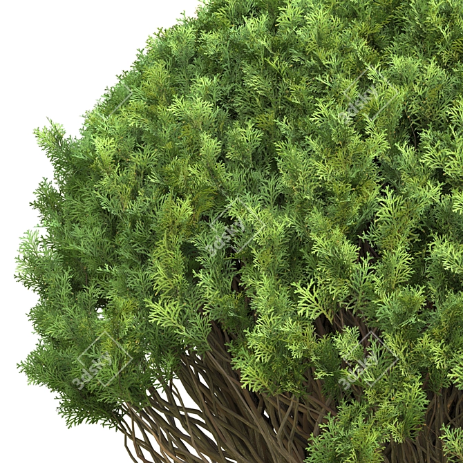 Elevate your Outdoor Space with Outdoor_Plant_Vol_44! 3D model image 3