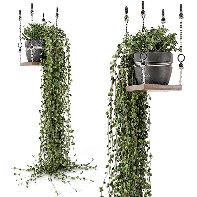 Boho Vibes: Indoor Hanging Plants 3D model image 1