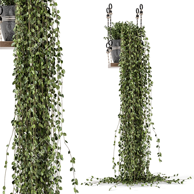 Boho Vibes: Indoor Hanging Plants 3D model image 3