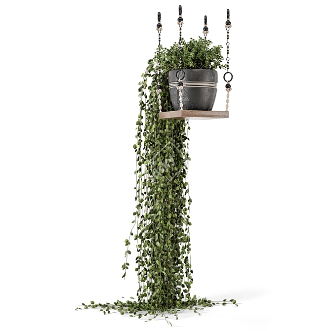 Boho Vibes: Indoor Hanging Plants 3D model image 5