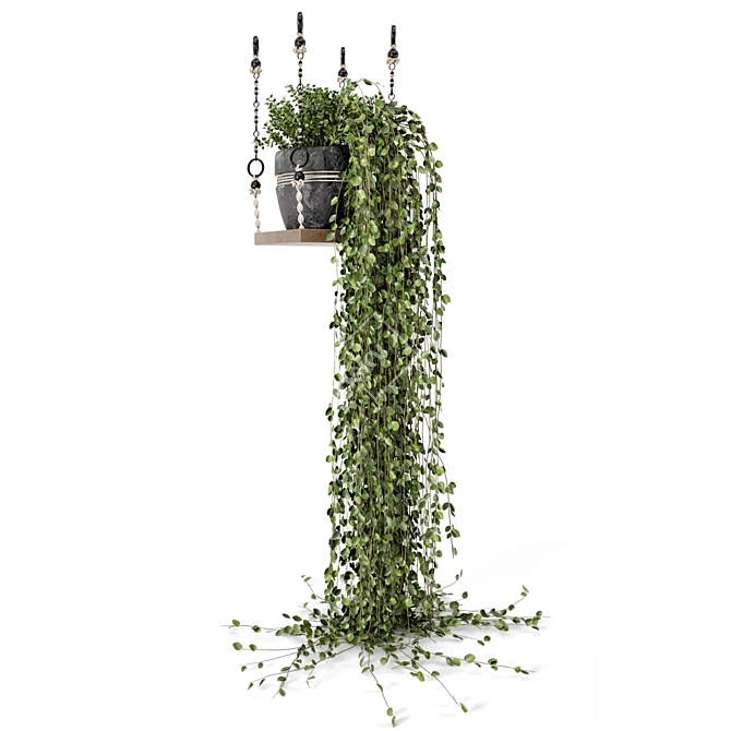 Boho Vibes: Indoor Hanging Plants 3D model image 6