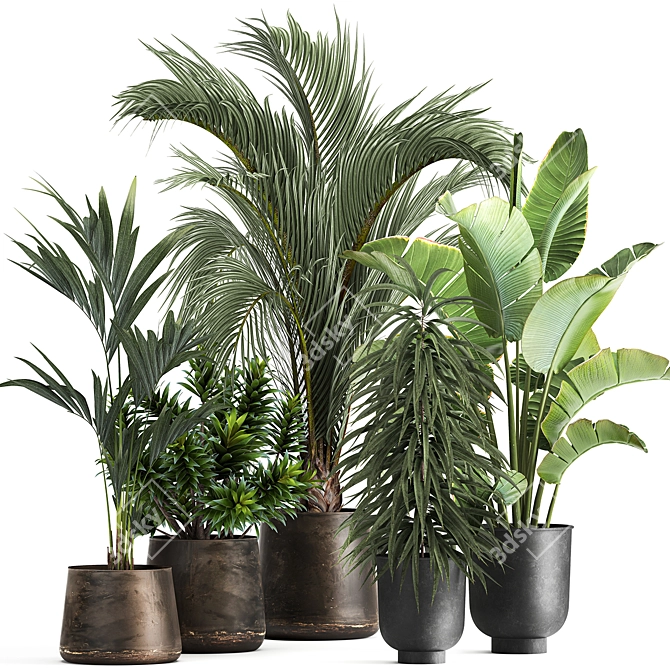 Tropical Plant Collection in Metal Vases 3D model image 1