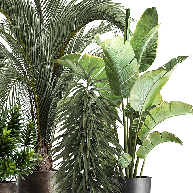 Tropical Plant Collection in Metal Vases 3D model image 3