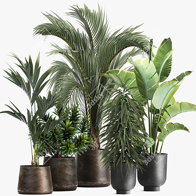Tropical Plant Collection in Metal Vases 3D model image 5