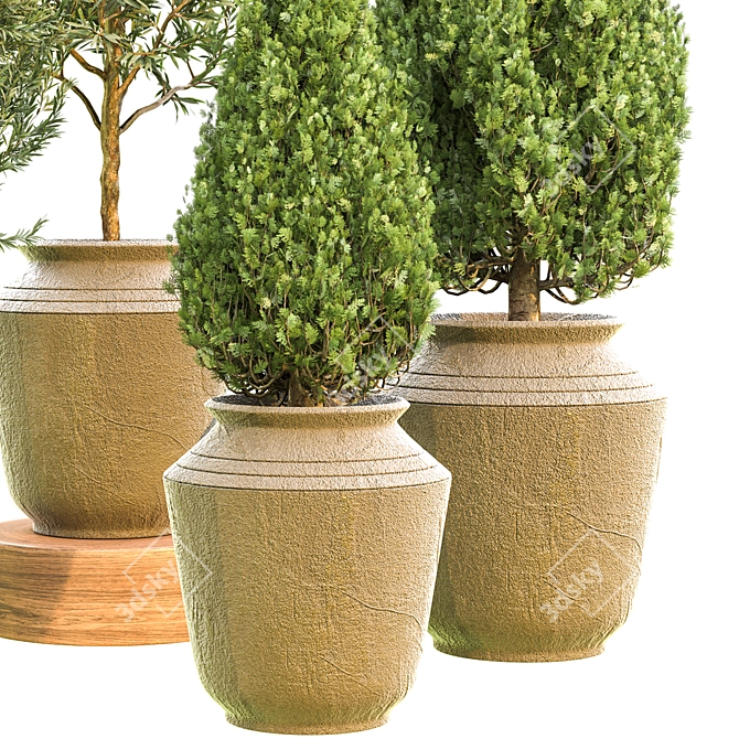 Outdoor Plant Vol. 45: 2015 Version 3D model image 2