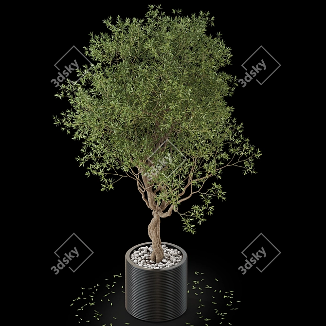 Lush Greenery Collection: 644 Varieties 3D model image 3