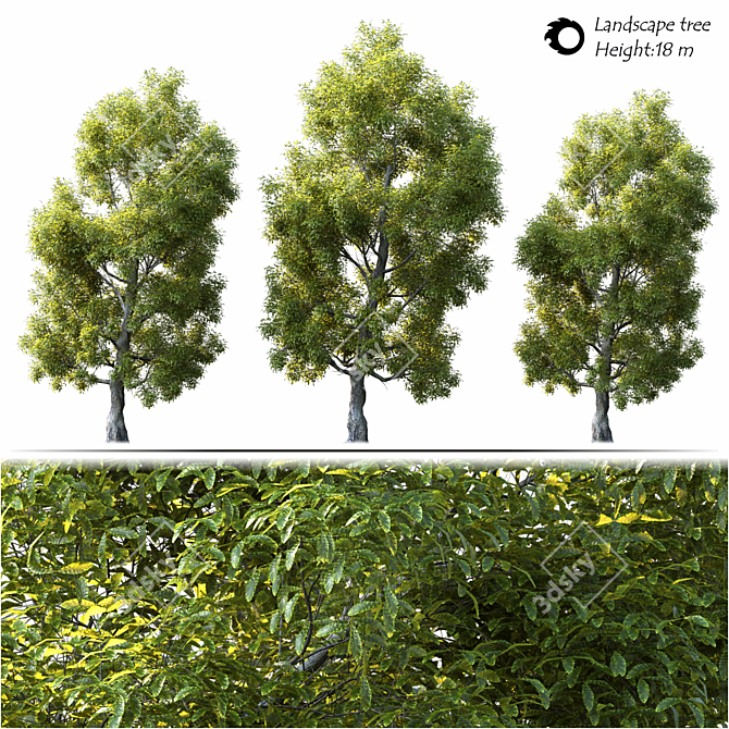 Elegant Landscape Tree - 2014 Edition 3D model image 2