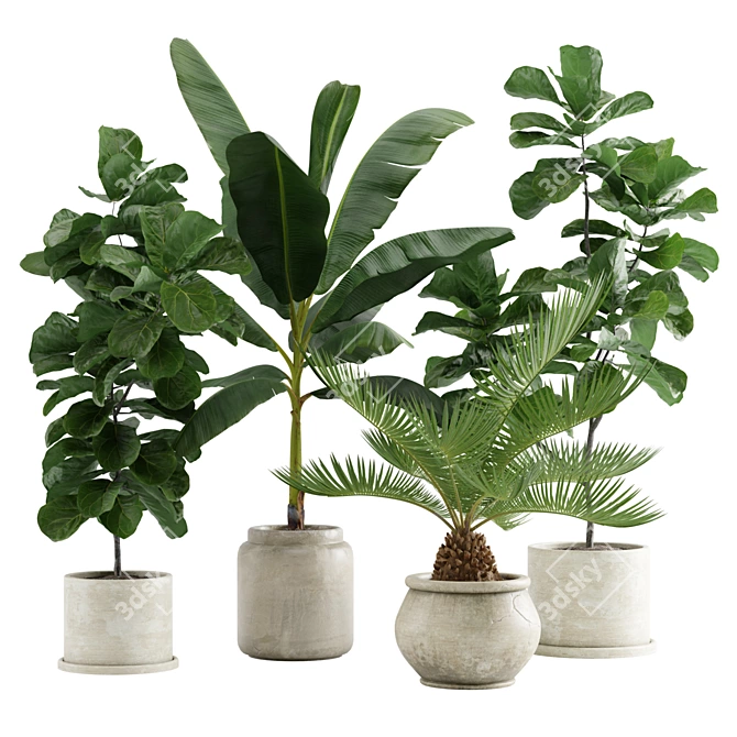 Tropical Indoor Plant Pack: 11 Exotic Varieties 3D model image 1