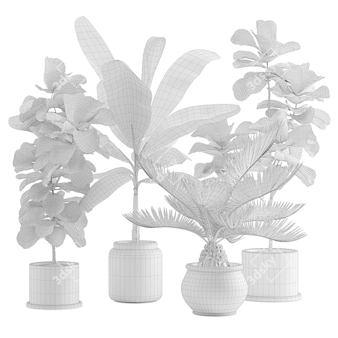 Tropical Indoor Plant Pack: 11 Exotic Varieties 3D model image 3