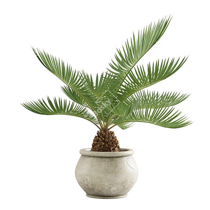 Tropical Indoor Plant Pack: 11 Exotic Varieties 3D model image 7