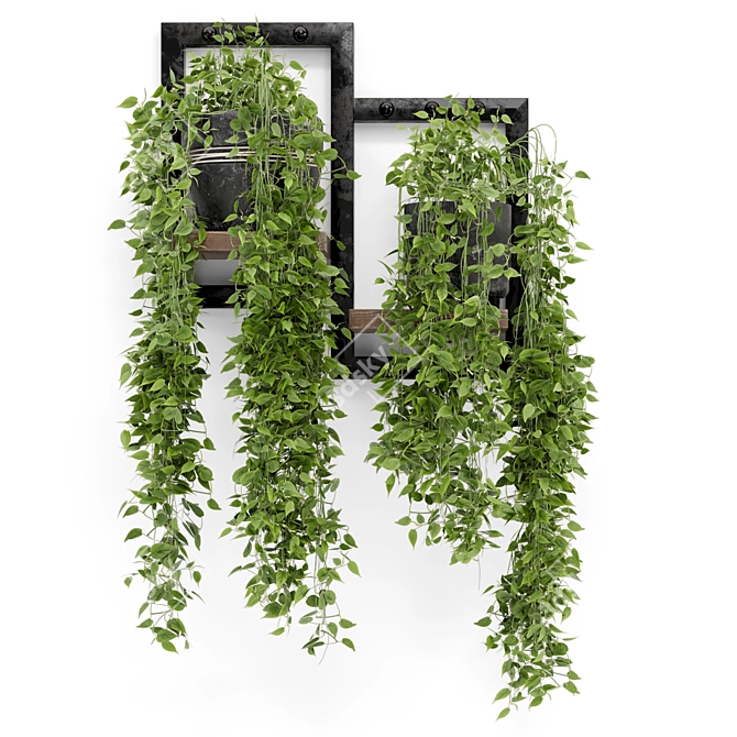 Rusty Concrete Pot Indoor Plants 3D model image 5