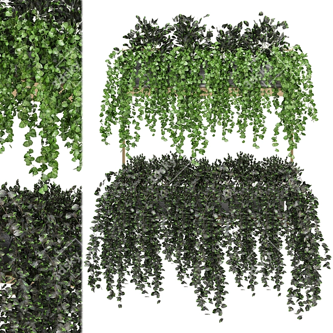 Metal Box Hanging Plants - Set 238 3D model image 2