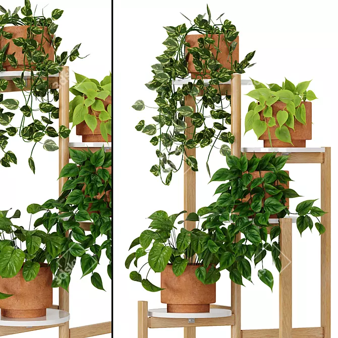 Premium Indoor Plant Collection 5 3D model image 2