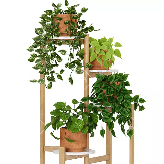 Premium Indoor Plant Collection 5 3D model image 3
