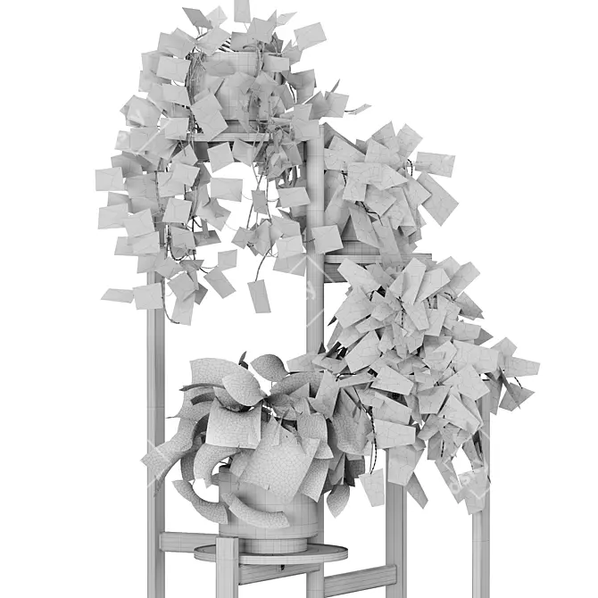 Premium Indoor Plant Collection 5 3D model image 4