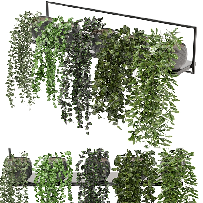 Modern Indoor Plants on Metal Shelf - Set 239 3D model image 2