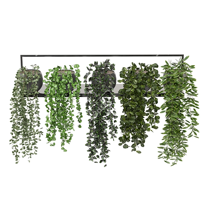 Modern Indoor Plants on Metal Shelf - Set 239 3D model image 5