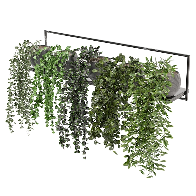 Modern Indoor Plants on Metal Shelf - Set 239 3D model image 6