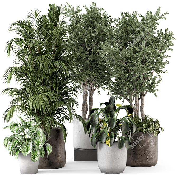 Rustic Concrete Pot Indoor Plants - Set 506 3D model image 1