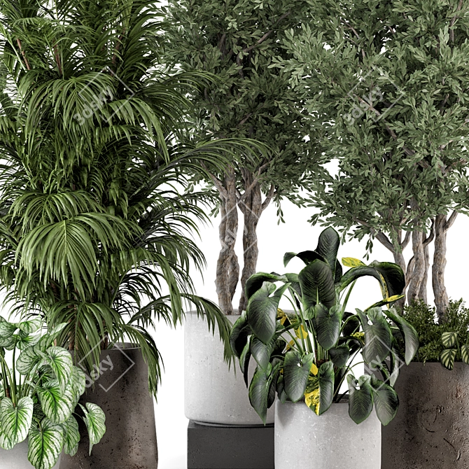 Rustic Concrete Pot Indoor Plants - Set 506 3D model image 2