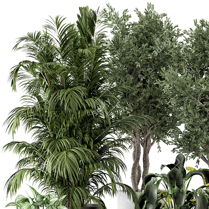 Rustic Concrete Pot Indoor Plants - Set 506 3D model image 3