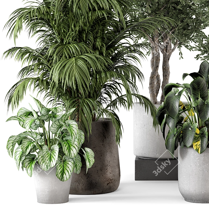 Rustic Concrete Pot Indoor Plants - Set 506 3D model image 5