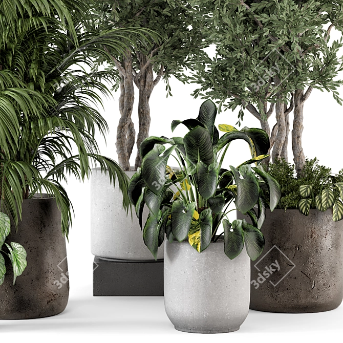 Rustic Concrete Pot Indoor Plants - Set 506 3D model image 6