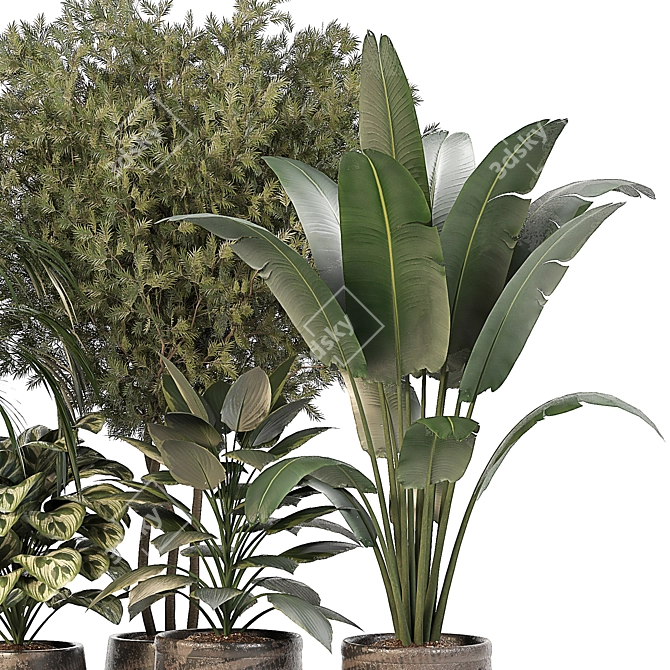 Green Oasis: 5 Indoor Plants Set 3D model image 2