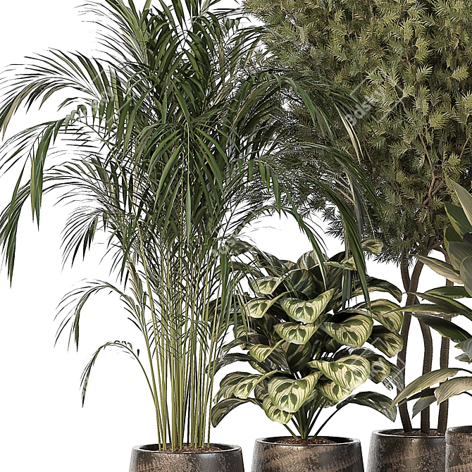 Green Oasis: 5 Indoor Plants Set 3D model image 3