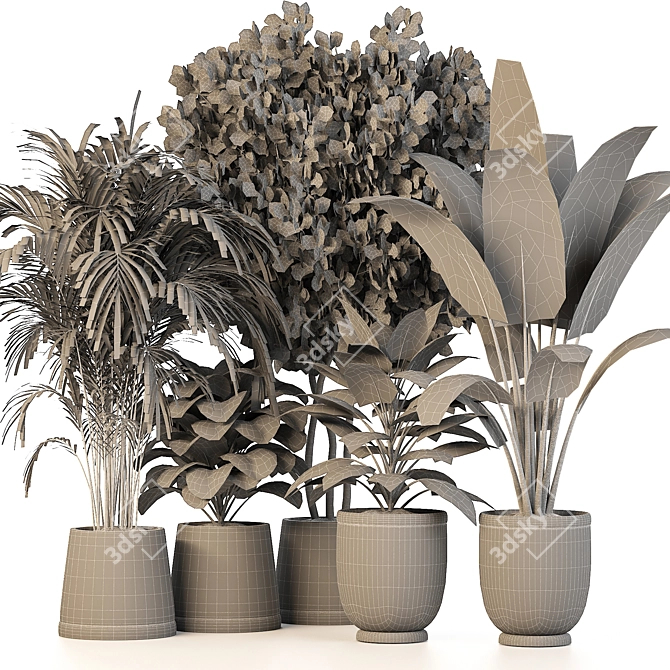 Green Oasis: 5 Indoor Plants Set 3D model image 4