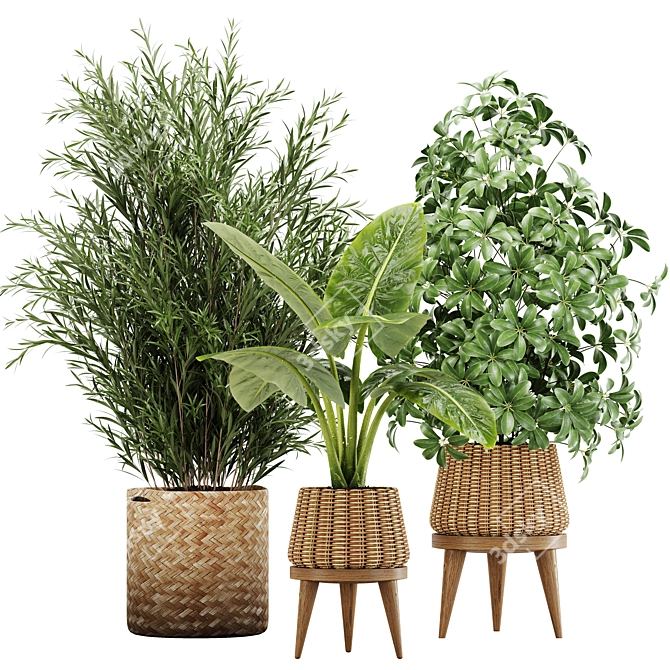 Lush Greens: Indoor Plant Set 3D model image 1