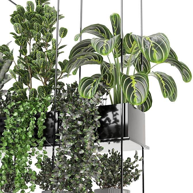 Metal Box Hanging Plants Set - Indoor Décor 3D model image 4