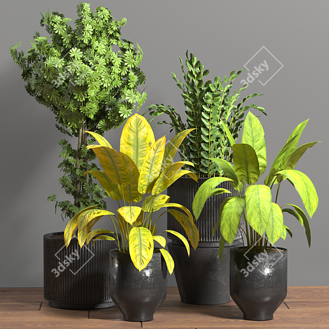 Tropical Oasis Indoor Plant Set 3D model image 2