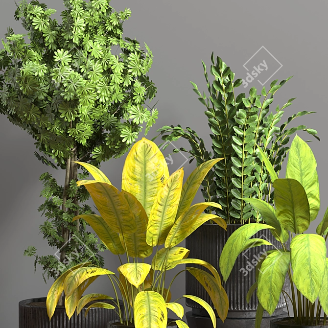 Tropical Oasis Indoor Plant Set 3D model image 5