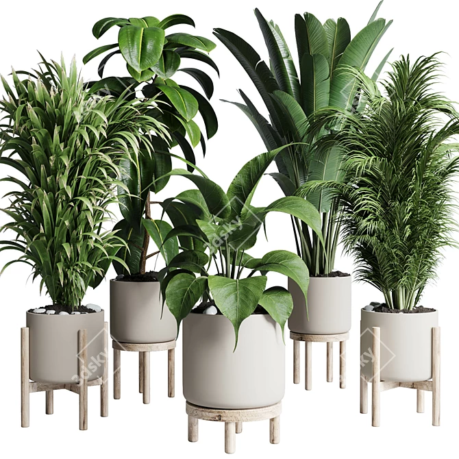 Natural Greenery Collection: Ficus, Rubbery Palm, and Ravenala in Wooden Vase 3D model image 1