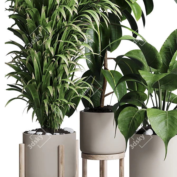 Natural Greenery Collection: Ficus, Rubbery Palm, and Ravenala in Wooden Vase 3D model image 2