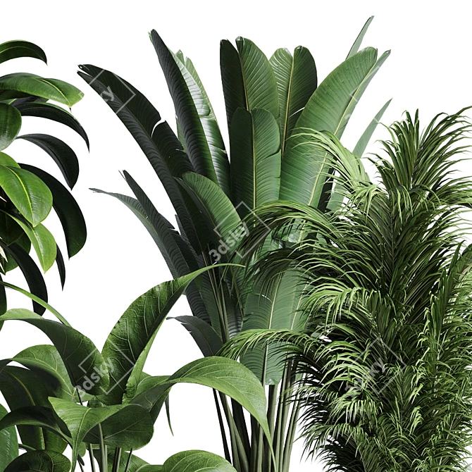 Natural Greenery Collection: Ficus, Rubbery Palm, and Ravenala in Wooden Vase 3D model image 4