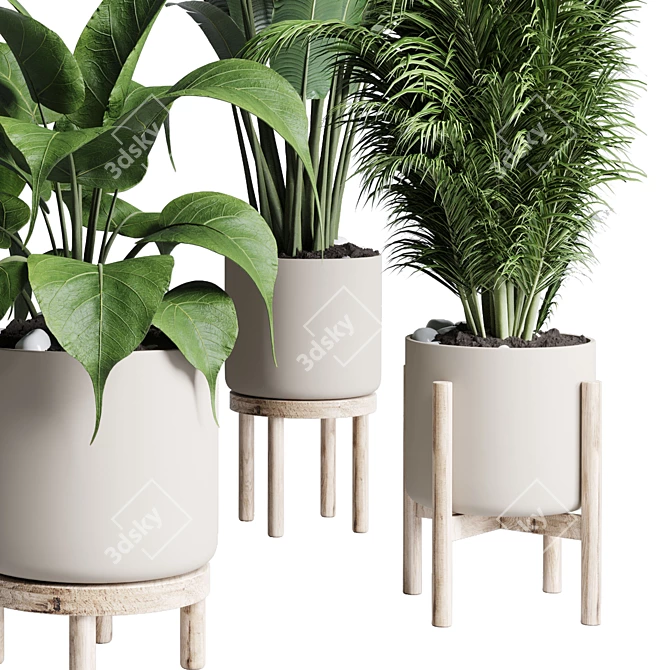 Natural Greenery Collection: Ficus, Rubbery Palm, and Ravenala in Wooden Vase 3D model image 5