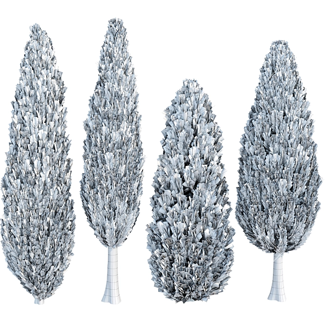 Evergreen Juniper Collection: Vol 78 3D model image 4