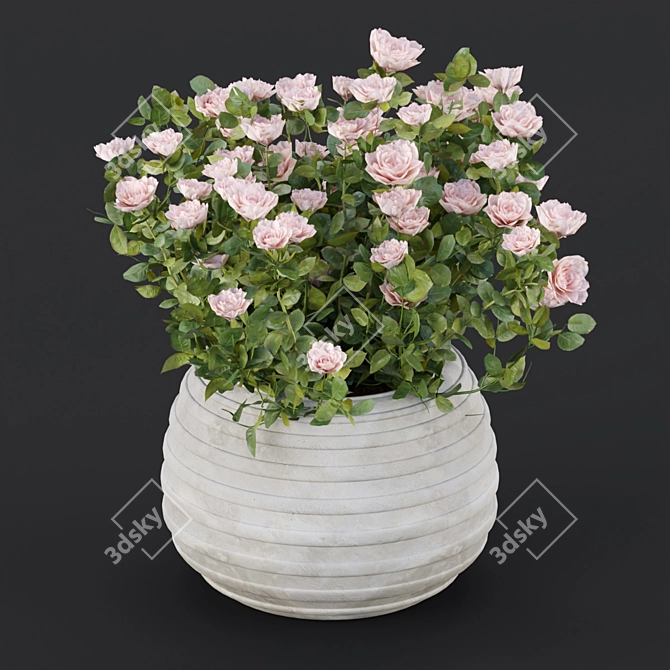 3D Rose Flowering Bushes Collection 3D model image 2