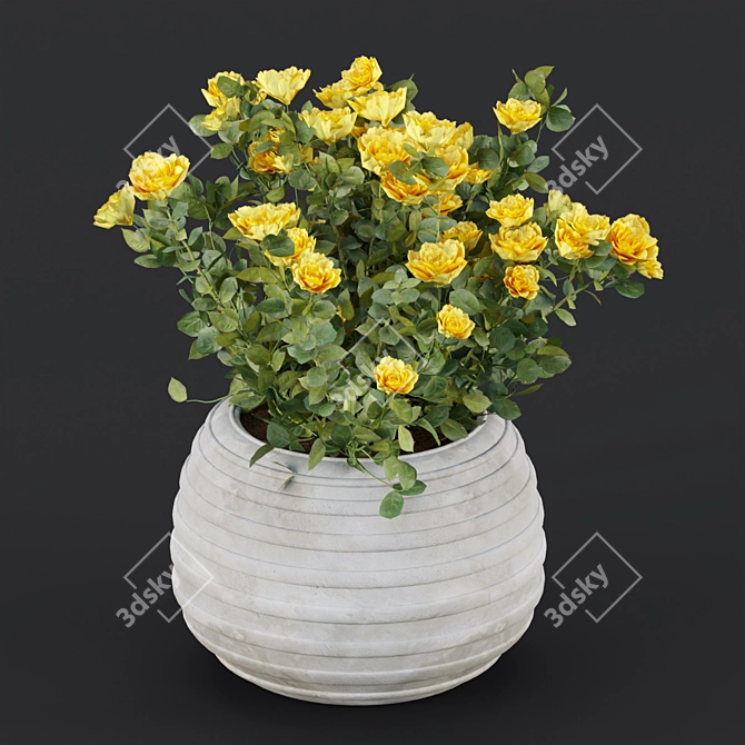 3D Rose Flowering Bushes Collection 3D model image 3